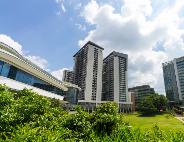 National University of Singapore